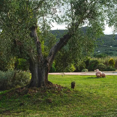 Mirto 1 Querciolaie Collection בית חווה Buriano (Grosseto)